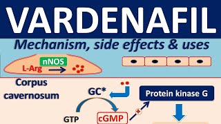 Vardenafil  Mechanism side effects drug interactions and clinical uses [upl. by Darce887]