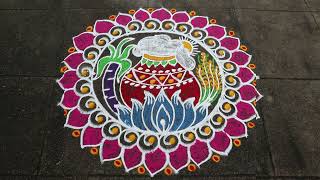 Easy Sankranthi Muggulu🌹5x3 dots Pongal 2023 Kolam🌹Sankranthi Rangoli🌹Pongal Pot Rangoli Designs [upl. by Asante]