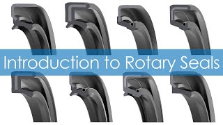 Intro to Rotary Seals  How They Work  Applications  Components  Shaft  Housing Recommendations [upl. by Schofield320]