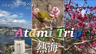 【熱海】湯〜遊バスで熱海スポット巡り！熱海桜、熱海梅園、熱海城、熱海商店街☆ [upl. by Zilada]