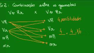 2ª Lei de Mendel  2ª Parte [upl. by Eahs]