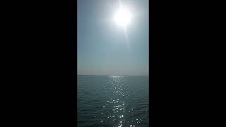 Fishing at The Tarbela Dam [upl. by Lashond]