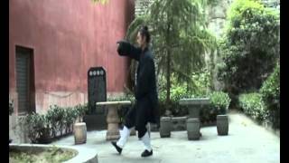 Sanfeng 28 Taijiquan Zhong Xue Yong [upl. by Redd194]