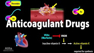 Pharmacology Anticoagulants Animation [upl. by Eecak]