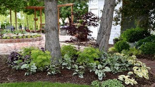 Beautiful Foliage Plants for Part Shade 🌿⛅️😍 Garden Answer [upl. by Calista]