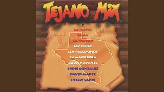 Tejano Mix Radio Edit [upl. by Hinda131]