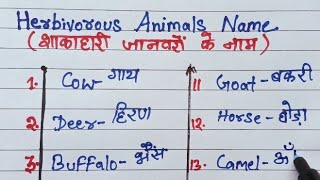 Herbivorous Animals Name l 20 Herbivorous Animals Name in English and Hindi l Herbivorous Animals [upl. by Essilem]