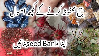 How to Save Seeds Seed SavingTechniquesNovember gardening [upl. by Xever]