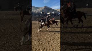 Zomin oqtosh maydoni 17112024 Qo’qondan Abduraxmonjondi TRAKENT laqabli tulpori🐎🐎🐎 [upl. by Alorac]