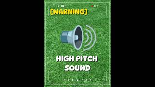 HIGH PITCH SOUND WARNING 🔊 soundeffects [upl. by Ocnarf]