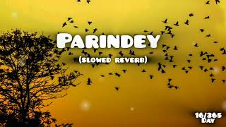 parindey slowed reverbsong by B praak [upl. by Yankee]