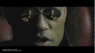 The Matrix  A quotBad Lip Readingquot video [upl. by Puttergill]