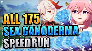 ALL 175 Sea Ganoderma Locations EFFICIENT amp FAST ROUTE Genshin Impact Yae Miko Kazuha Ascension Mats [upl. by Stockmon]