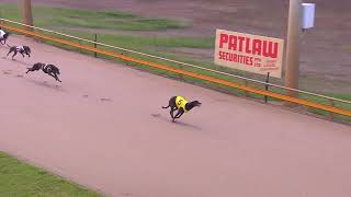 Rockhampton11112024Race1 [upl. by Jobi]