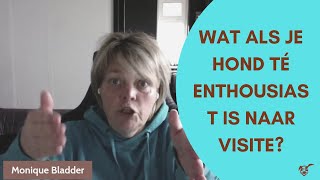 Live Als je hond té enthousiast is naar visite [upl. by Chui]