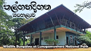 Thalgahadigana Bungalow  තල්ගහදිගන බංගලාව  Review  Lunugamwehera National Park  Sri Lanka [upl. by Neslund]