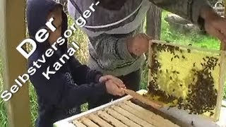 Bienen fuettern und ersten Blick in die Bienenkiste [upl. by Olocin]