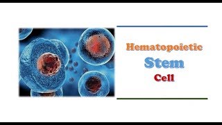 Hematology 🔤  Hematopoietic Stem Cells [upl. by Claiborn270]