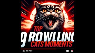 Top 10 Growling Cats Moments [upl. by Rhtaeh821]