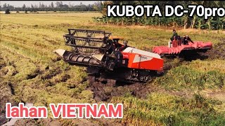 KOMBI HARVESTER KUBOTA DC 70pro lahan Vietnam [upl. by Sully488]