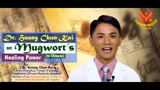 Dr Huang ChunKai on Mugworts Healing Power [upl. by Anthia]