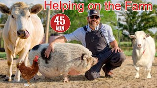 Helping a Farmer Feed and Care For His Animals Educational Farm Video For Kids [upl. by Razaele744]