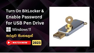 How to Turn On BitLocker for Removable Data Drive in Windows 11  Explained in Sinhala [upl. by Alwitt210]