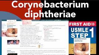 Corynebacterium diphtheriae in HindiUrdu by first aid for USMLE step 1 [upl. by Lam87]