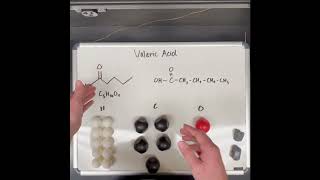 Building Molecules with Snatoms Valeric Acid [upl. by Suravart]