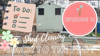 Episode 11  Shed Clearing and Back to the Plot [upl. by Eiramlatsyrk]