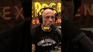 Why Did God Create War  Joe Rogan [upl. by Danelle]