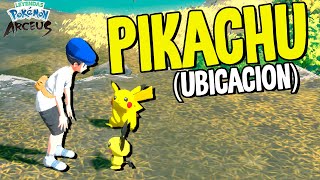 Como y donde CAPTURAR a PIKACHU y PICHU Ubicación Secretos y Trucos Leyendas Pokemon Arceus [upl. by Bruning748]