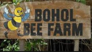 BOHOL BEE FARM [upl. by Nigam]