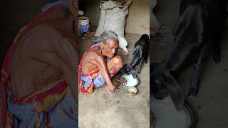 105 year old widow grandma eating Chicken curry Village rural life [upl. by Minette809]