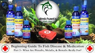 What Are Pimafix Melafix And Bettafix For Guide To Disease And Medication Part 3 [upl. by Gersham846]