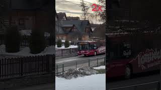 Skibus in Poland [upl. by Salangi]