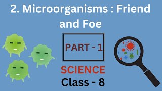 Microorganisms  Friend and Foe part1  Chapter 2  Class 8 Science  NCERT [upl. by Madelyn]