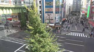 オノデンch【秋葉原ライブカメラ Akihabara live camera】 [upl. by Dayir]