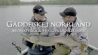 Gäddfiske i Norrland  Kanske Sveriges vackraste plats att fiska gädda på [upl. by Ferreby]