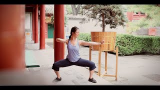 8 Brocades Qigong Practice [upl. by Feer313]