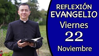 Evangelio de Hoy Viernes 22 de Noviembre de 2024 Lectura y Reflexión [upl. by Ameer]