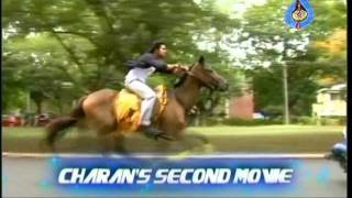 Ram Charan Tej Fascination with Horses Ram Charan [upl. by Ahseryt]