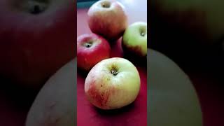 A se apple b se badka applefunny comedy siblingforeverytshorts youtube trending short [upl. by Delmor698]