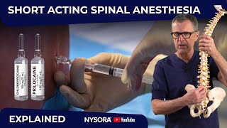 Mastering ShortSpinal Anesthesia WHY WHEN HOW [upl. by Niwrehs]