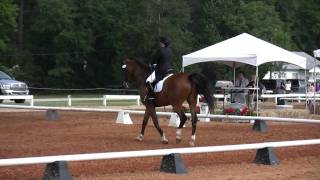 Rhonda Dretel Intermediate 1 Dressage Test [upl. by Einberger]