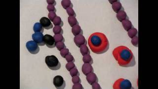 Gas Exchange Claymation [upl. by Bach996]