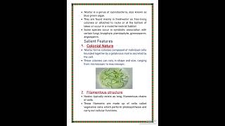 Nostoc life cycle ll thallus structure ll Reproduction ll 01 ll Botany ll Bsc Msc [upl. by Nayk]