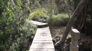 Welcome to the Overland Track Tasmania  PWS [upl. by Rodl]