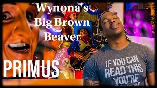 First time hearing Primus quotWynonas Big Brown Beaverquot REACTION [upl. by Inilam104]