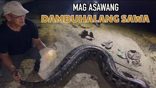 MAGASAWANG DAMBUHALANG SAWA [upl. by Ecnal]